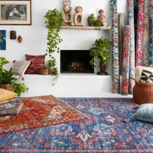 Loloi rug | New York Carpets & Flooring